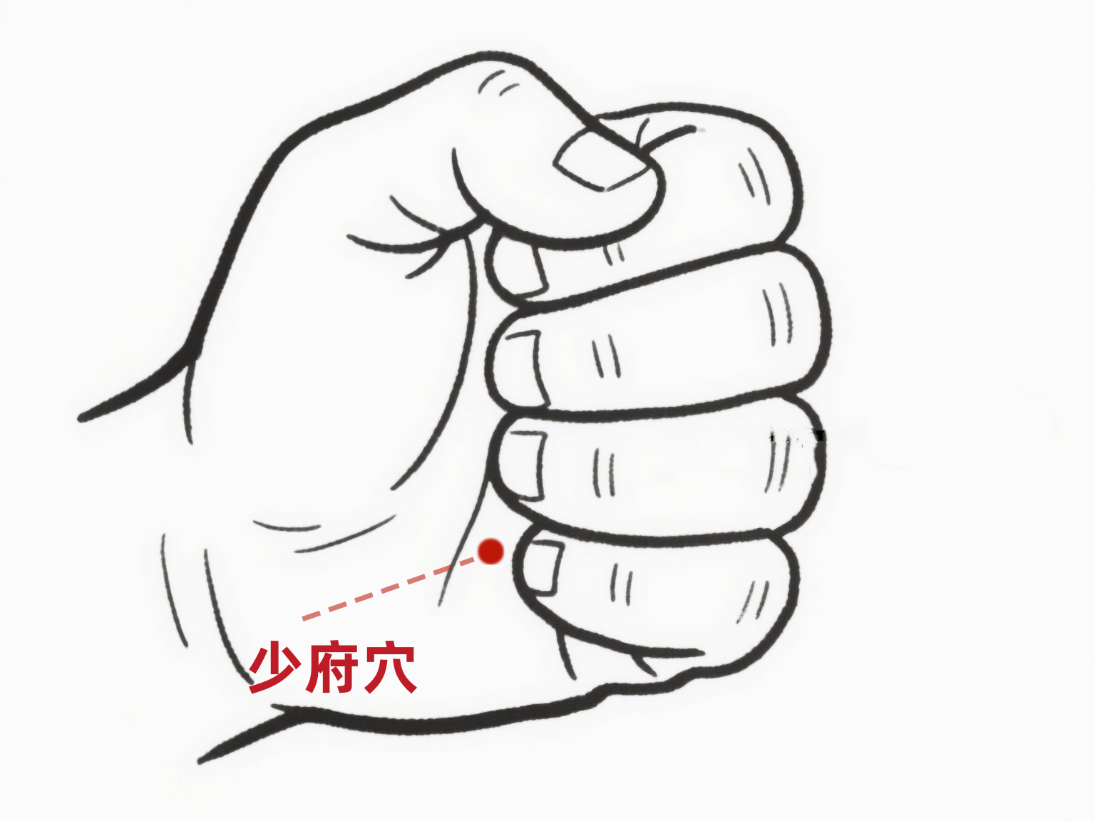 少府穴--AI--修改