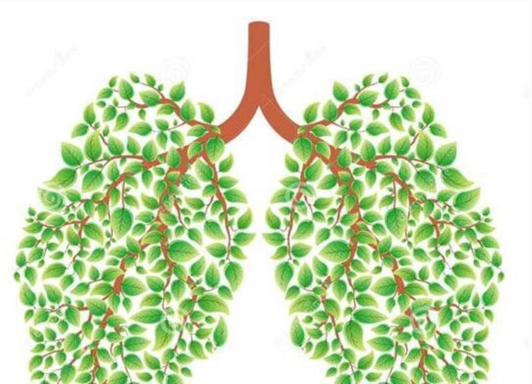 肺为娇脏,在人体20岁时便开始衰老,肺部健康不容打折.